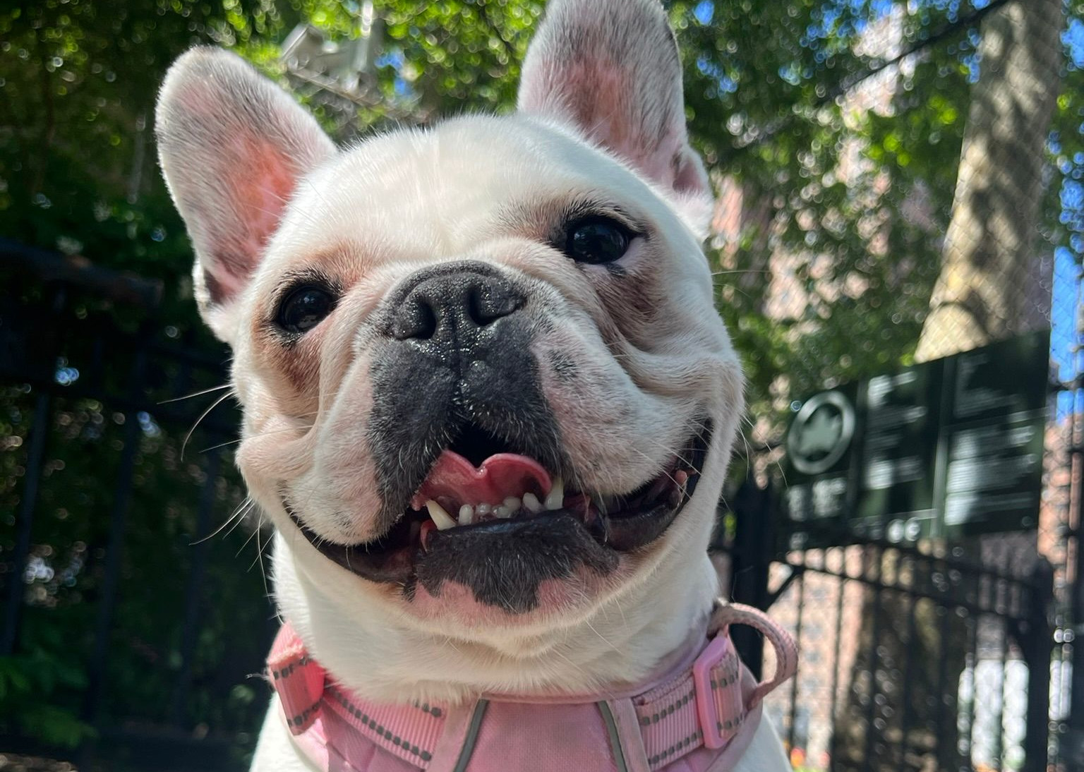 Betty