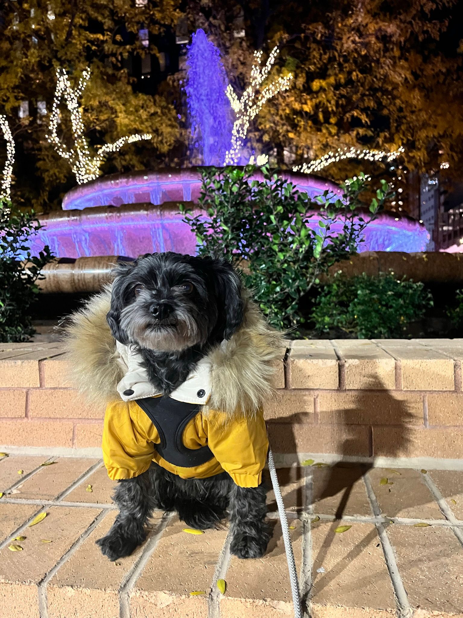 Chloe