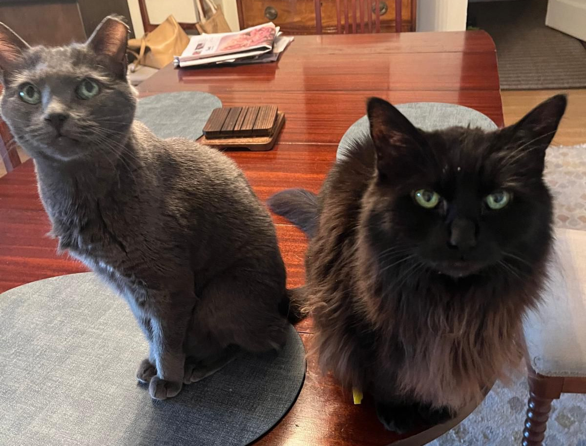 Daffy and Sunny