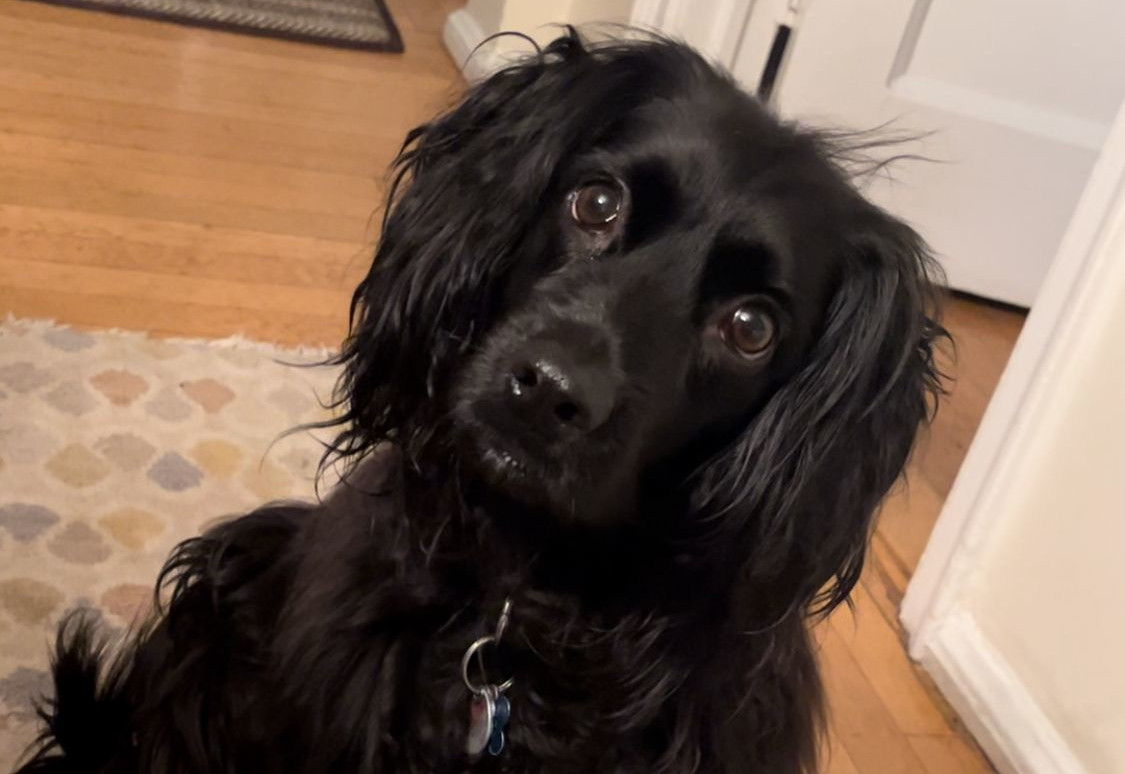 Mochi